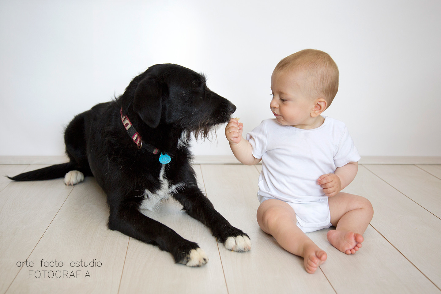 sesionbebe8meses02
